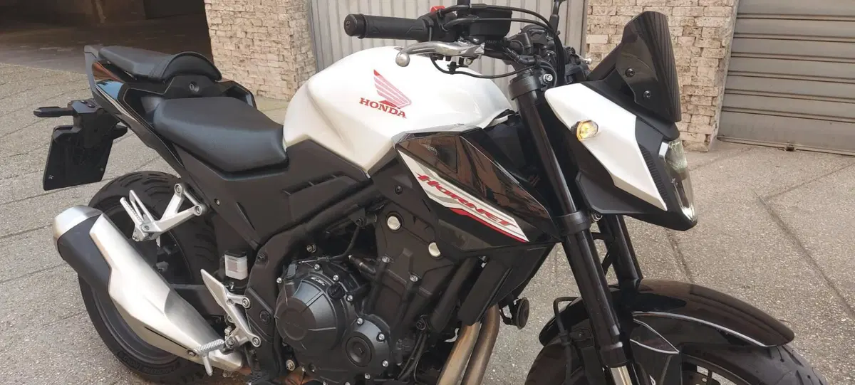 Honda CB 500 Hornet (2024 - 25) (5)
