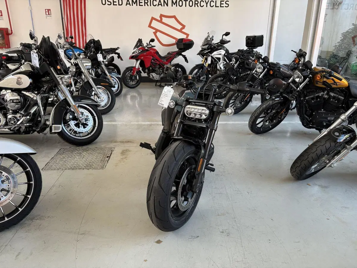 Harley-Davidson Sportster S (2022 - 24) (4)