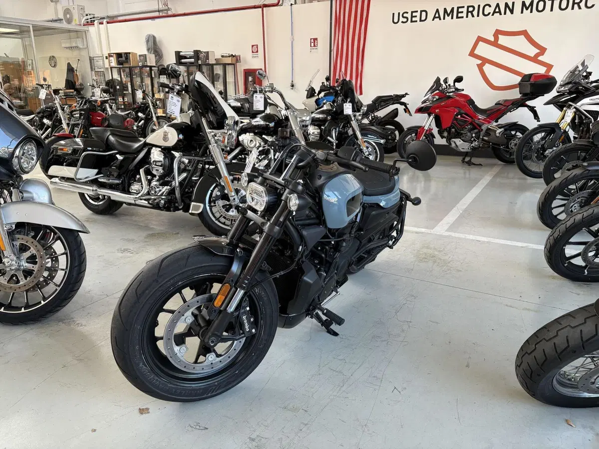 Harley-Davidson Sportster S (2022 - 24) (5)