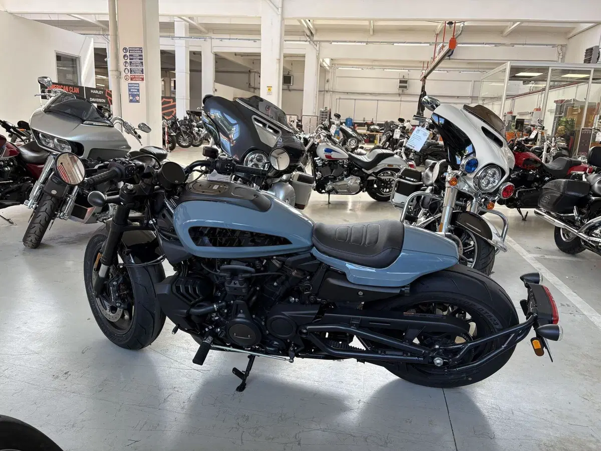 Harley-Davidson Sportster S (2022 - 24) (6)