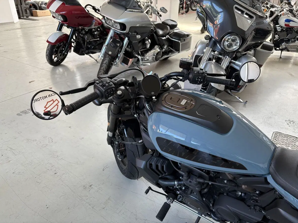 Harley-Davidson Sportster S (2022 - 24) (7)