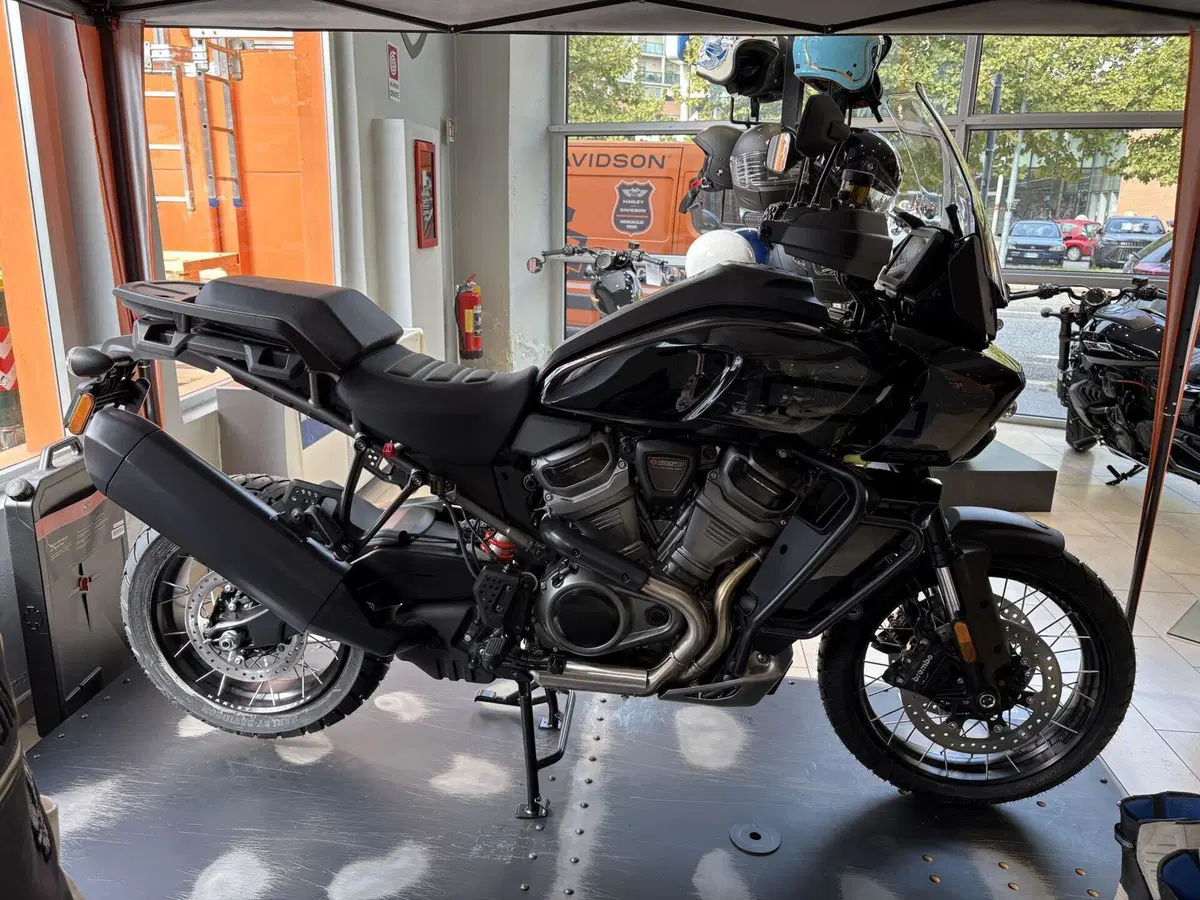 Harley-Davidson Pan America 1250 Special (2020 - 25) (4)