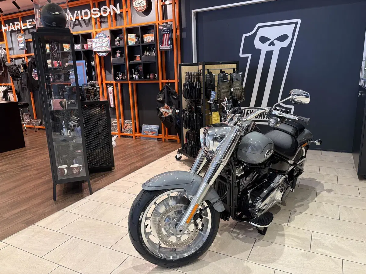 Harley-Davidson Fat Boy 117 (2025 - 26) (6)