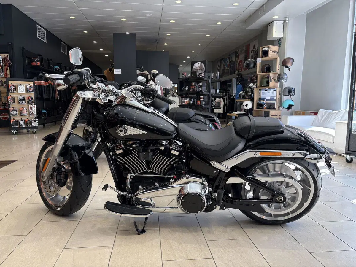 Harley-Davidson Fat Boy 117 (2025 - 26) (5)