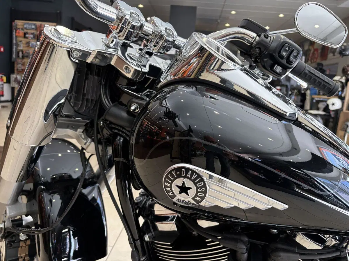 Harley-Davidson Fat Boy 117 (2025 - 26) (6)