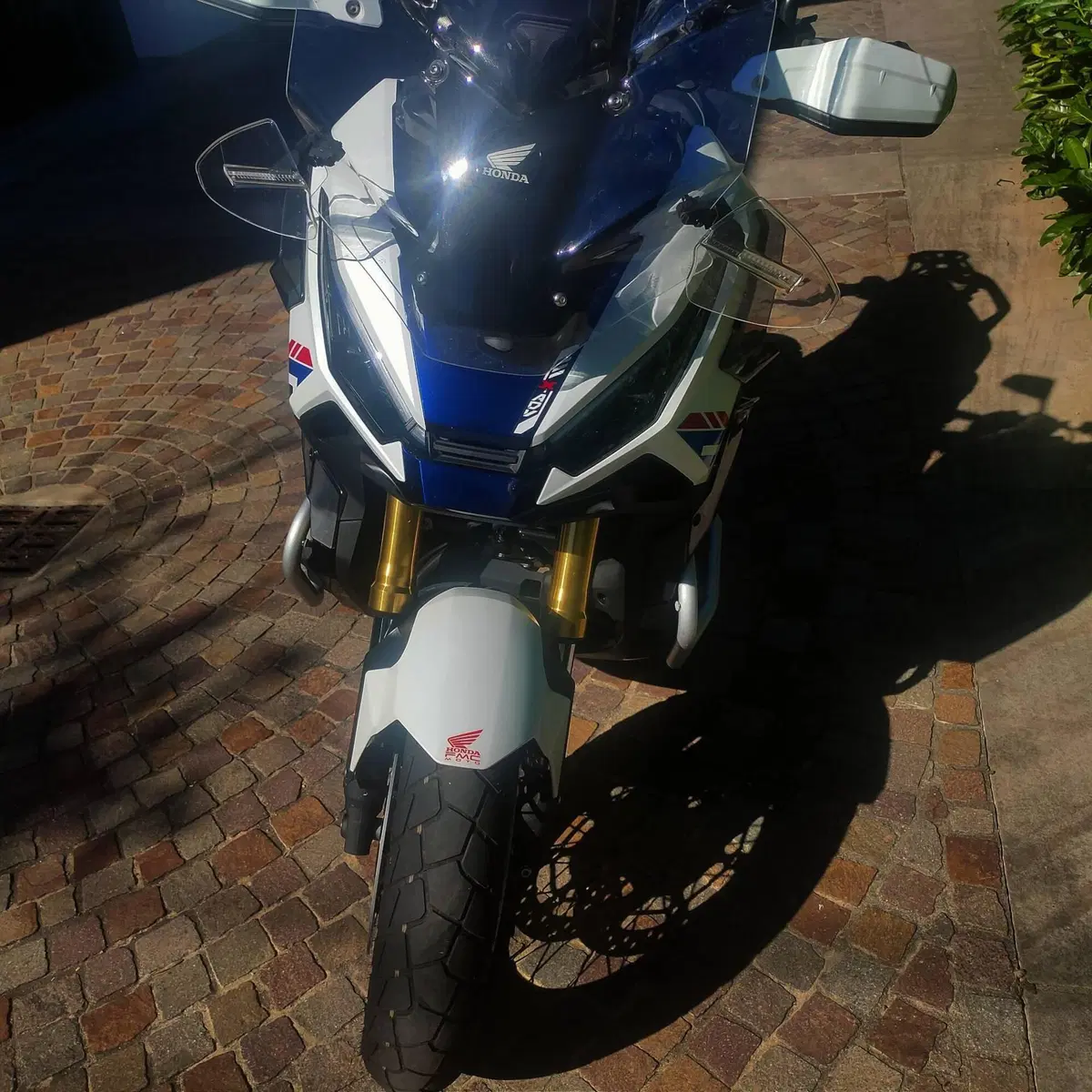 Honda X-ADV 750 Special Edition (2026 - 27) (5)