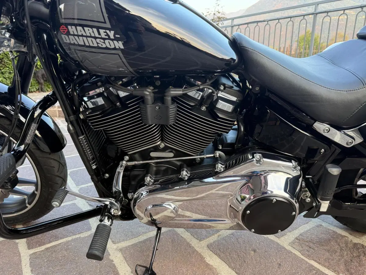 Harley-Davidson Sport Glide (2021 - 25) (7)