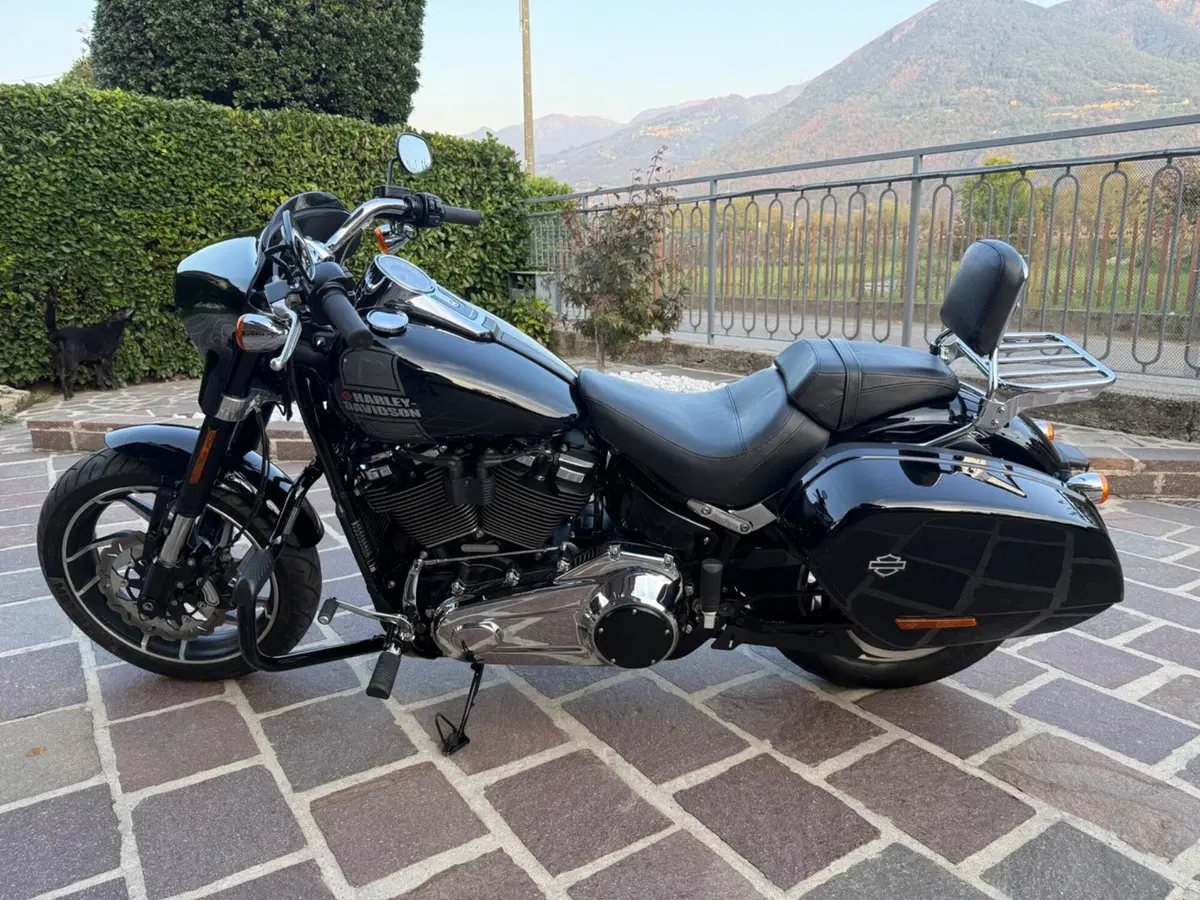 Harley-Davidson Sport Glide (2021 - 25) (3)