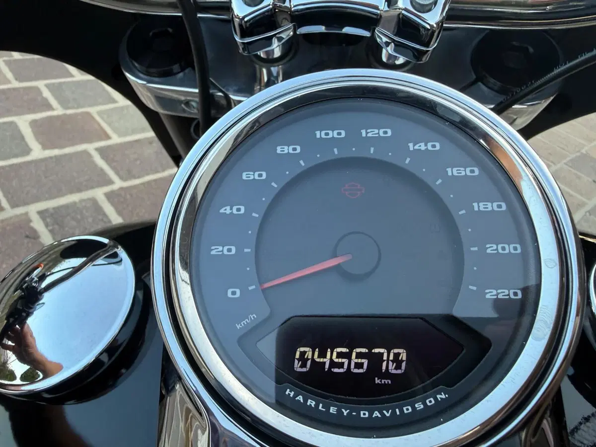 Harley-Davidson Sport Glide (2021 - 25) (9)