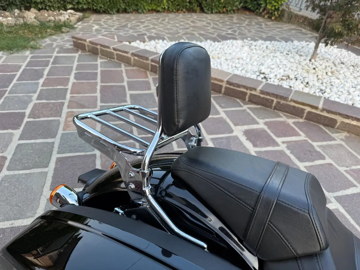 Harley-Davidson Sport Glide (2021 - 25) (13)