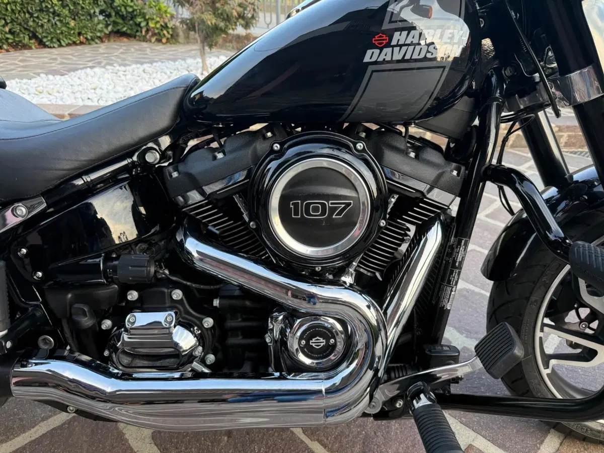 Harley-Davidson Sport Glide (2021 - 25) (6)
