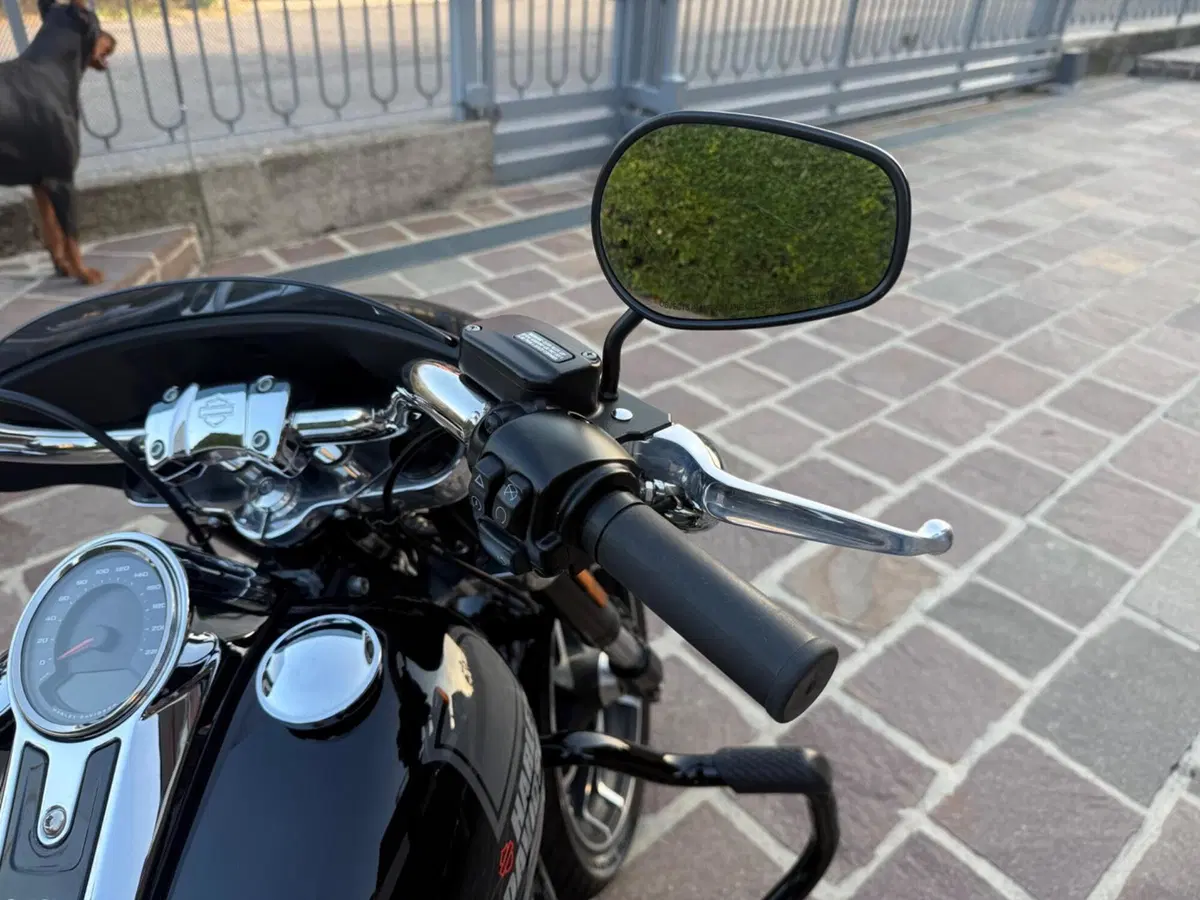Harley-Davidson Sport Glide (2021 - 25) (11)