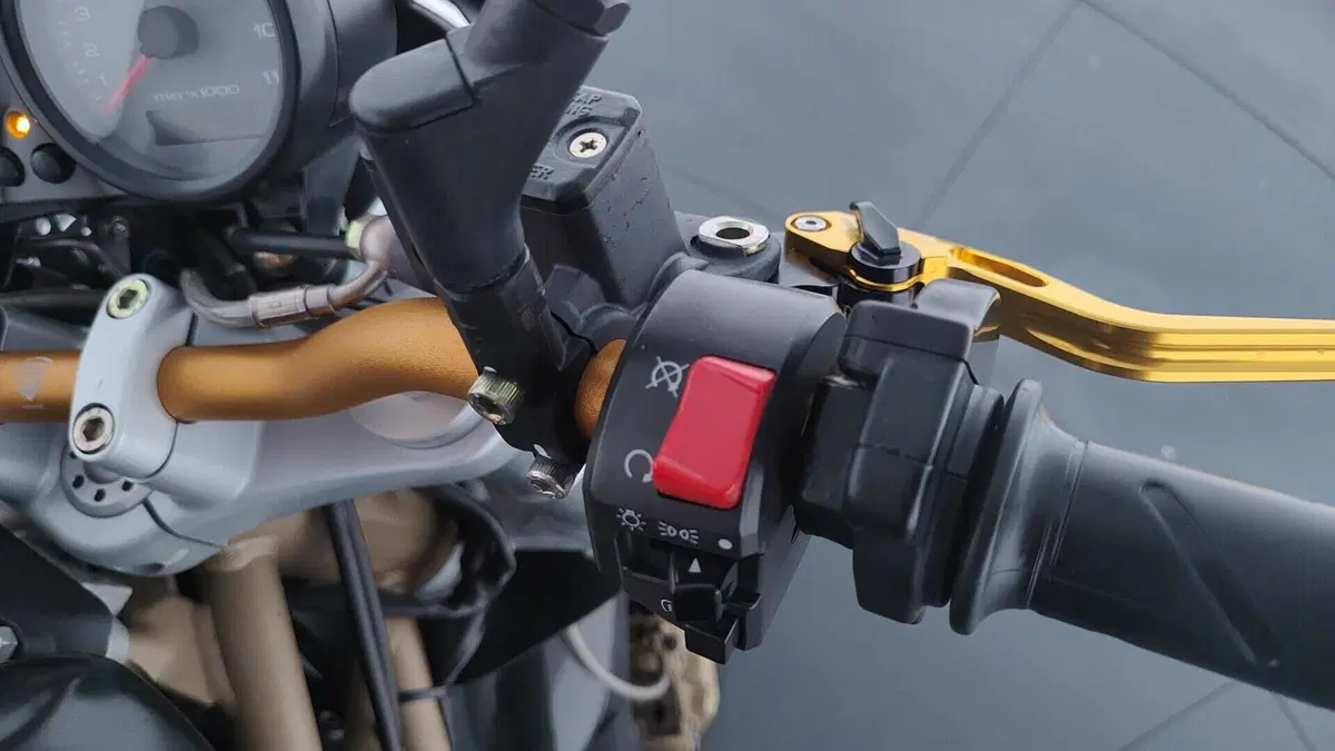Ducati Monster 620 Dark (2003 - 06) (8)