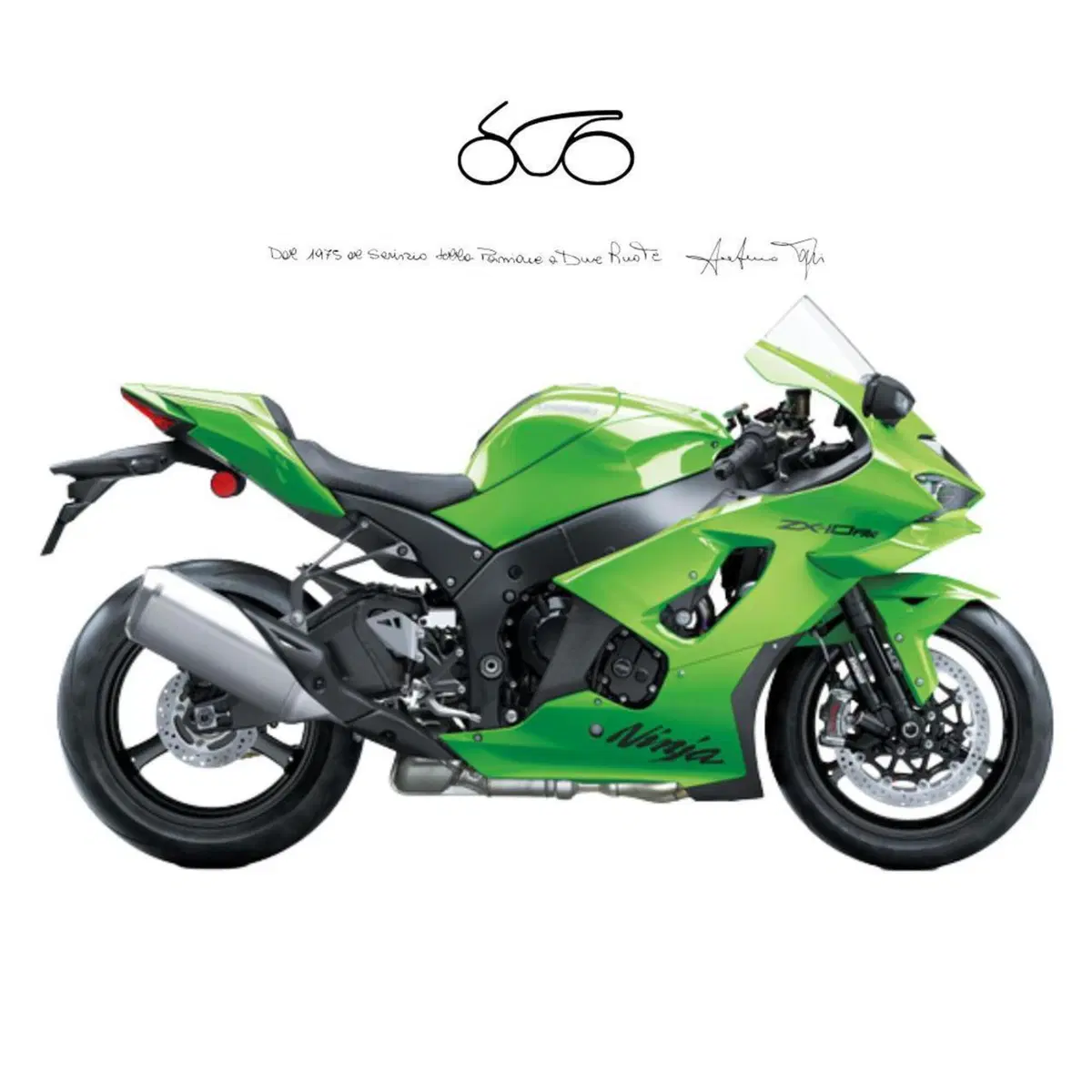 Kawasaki Ninja 1000 ZX-10RR (2026)