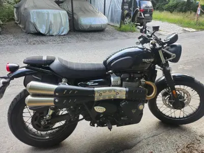 Triumph Scrambler (2006 - 17) usata