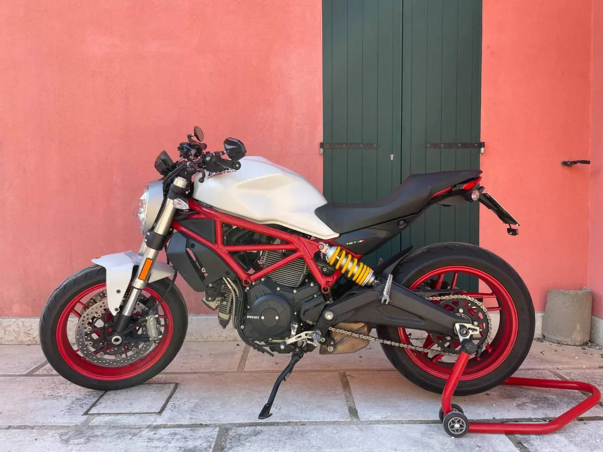Ducati Monster 797 (2017 - 18) (2)