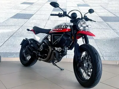 Ducati Scrambler 800 Icon (2023 - 24) usata
