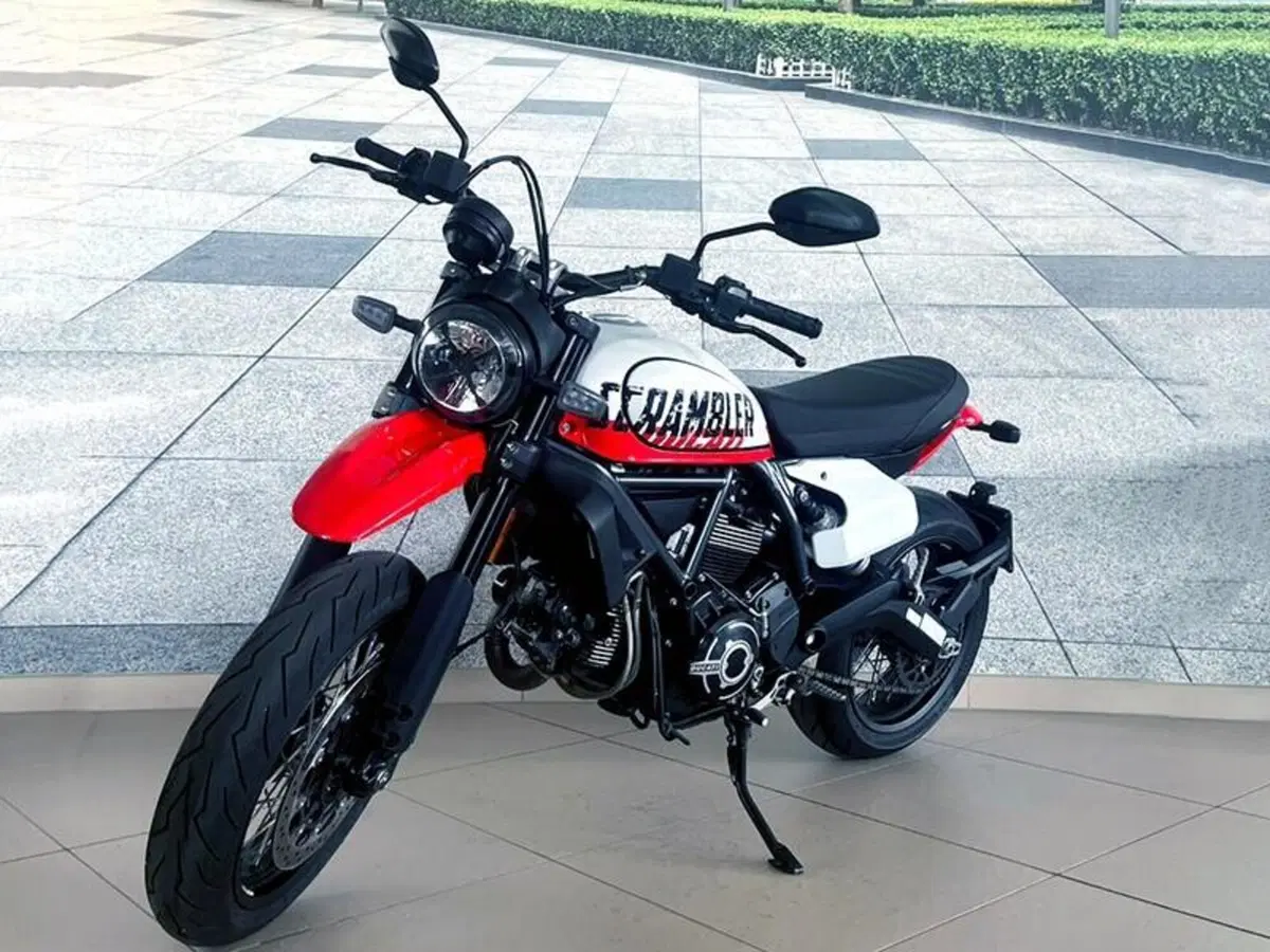 Ducati Scrambler 800 Icon (2023 - 24) (2)