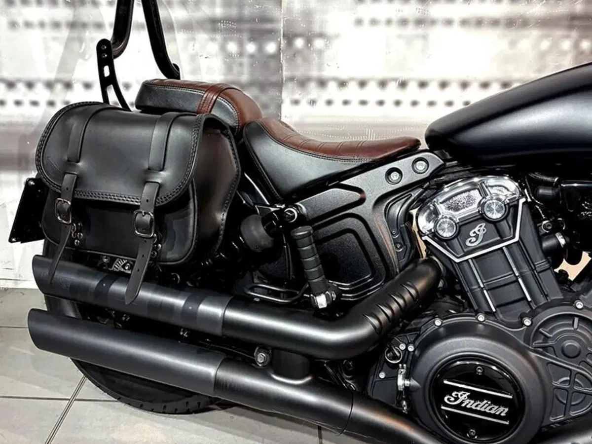 Indian Scout 1133 (2021 - 25) (3)