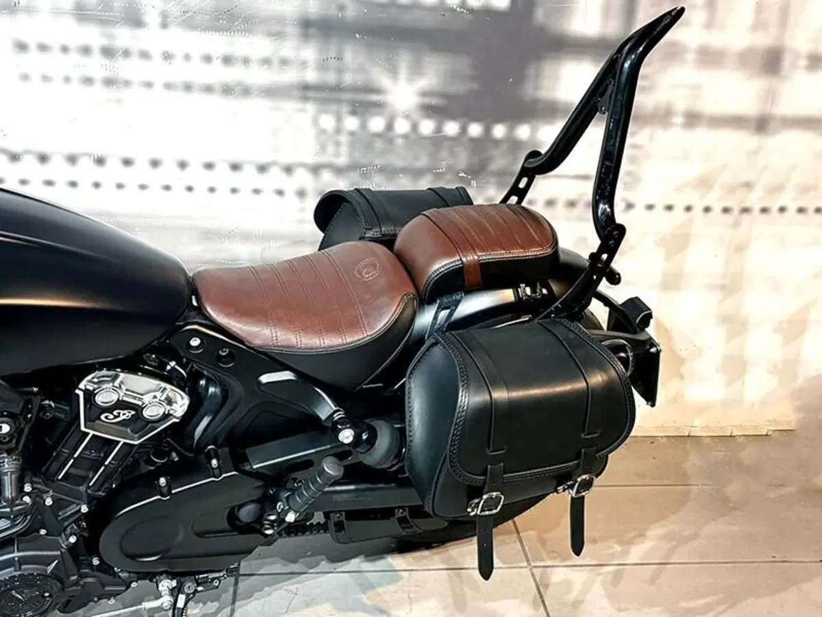 Indian Scout 1133 (2021 - 25) (4)