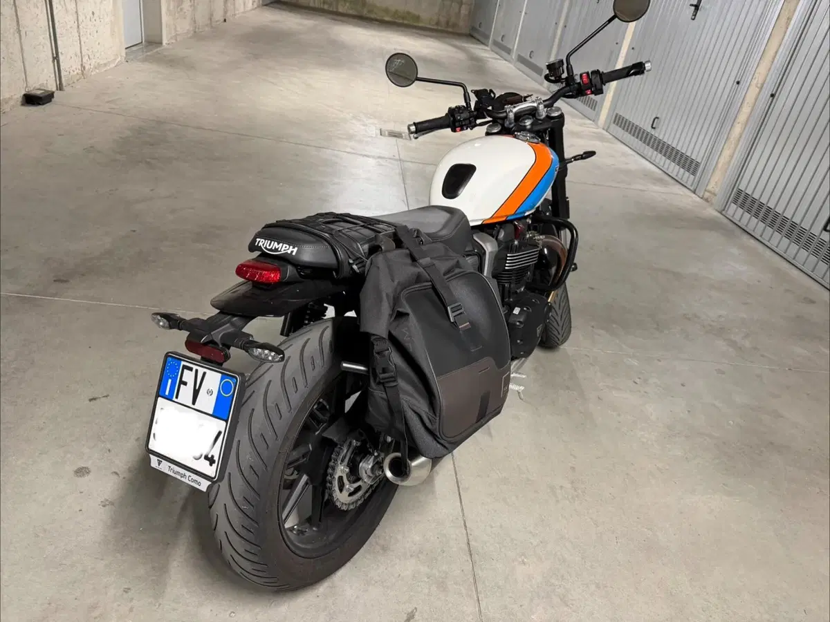 Triumph Speed Twin 900 (2025 - 26) (5)
