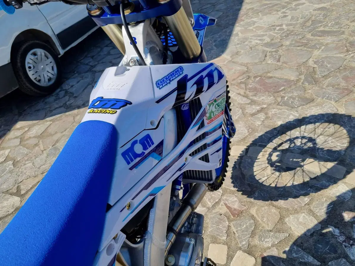 Tm Moto EN 300 ES Fi 4T (2023)