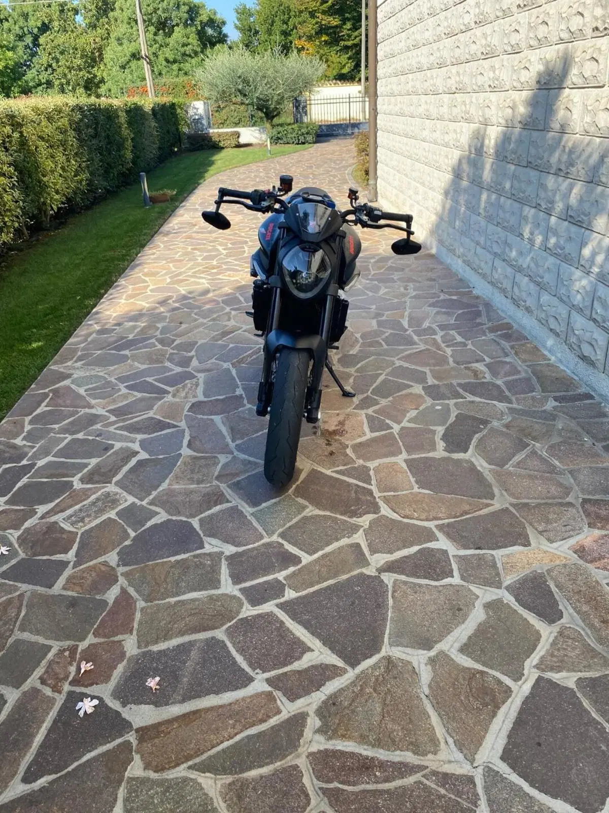 Ducati Monster 937 (2021 - 25) (3)