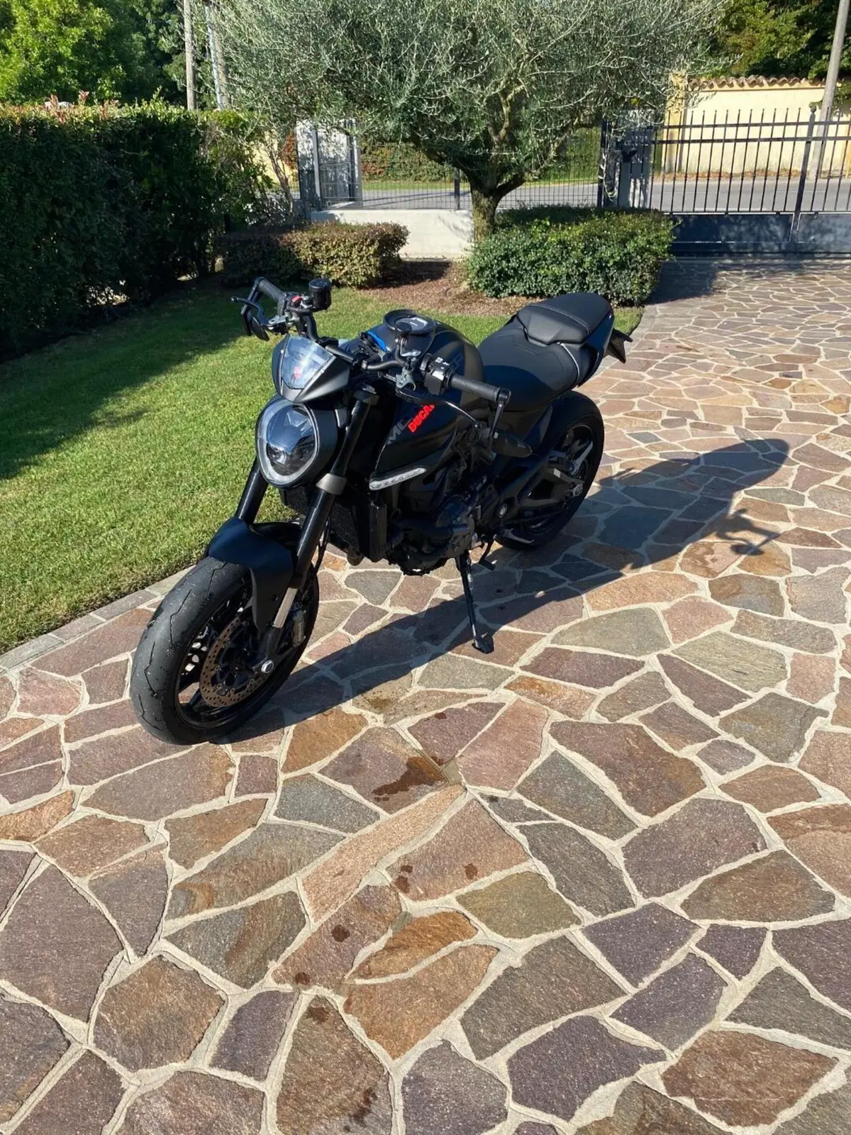 Ducati Monster 937 (2021 - 25) (7)