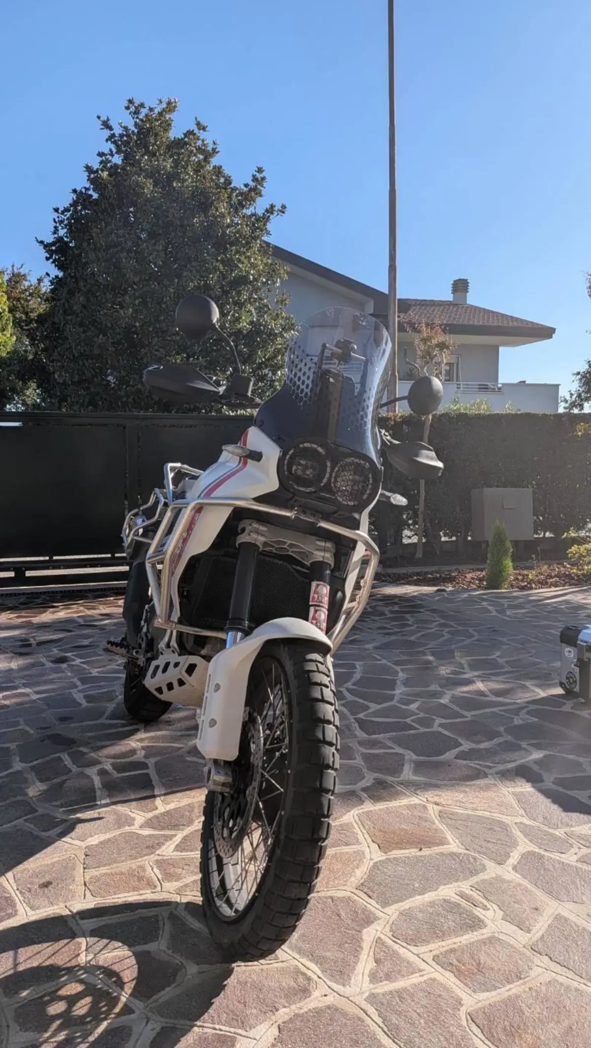 Ducati DesertX (2022 - 25) (3)