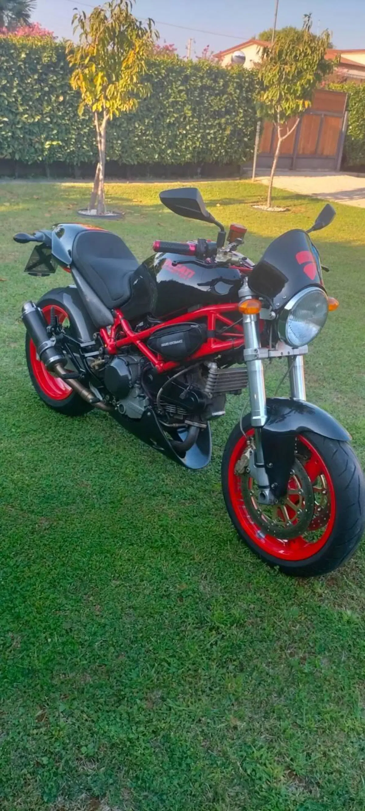 Ducati Monster 1000 S (2003 - 05) (9)