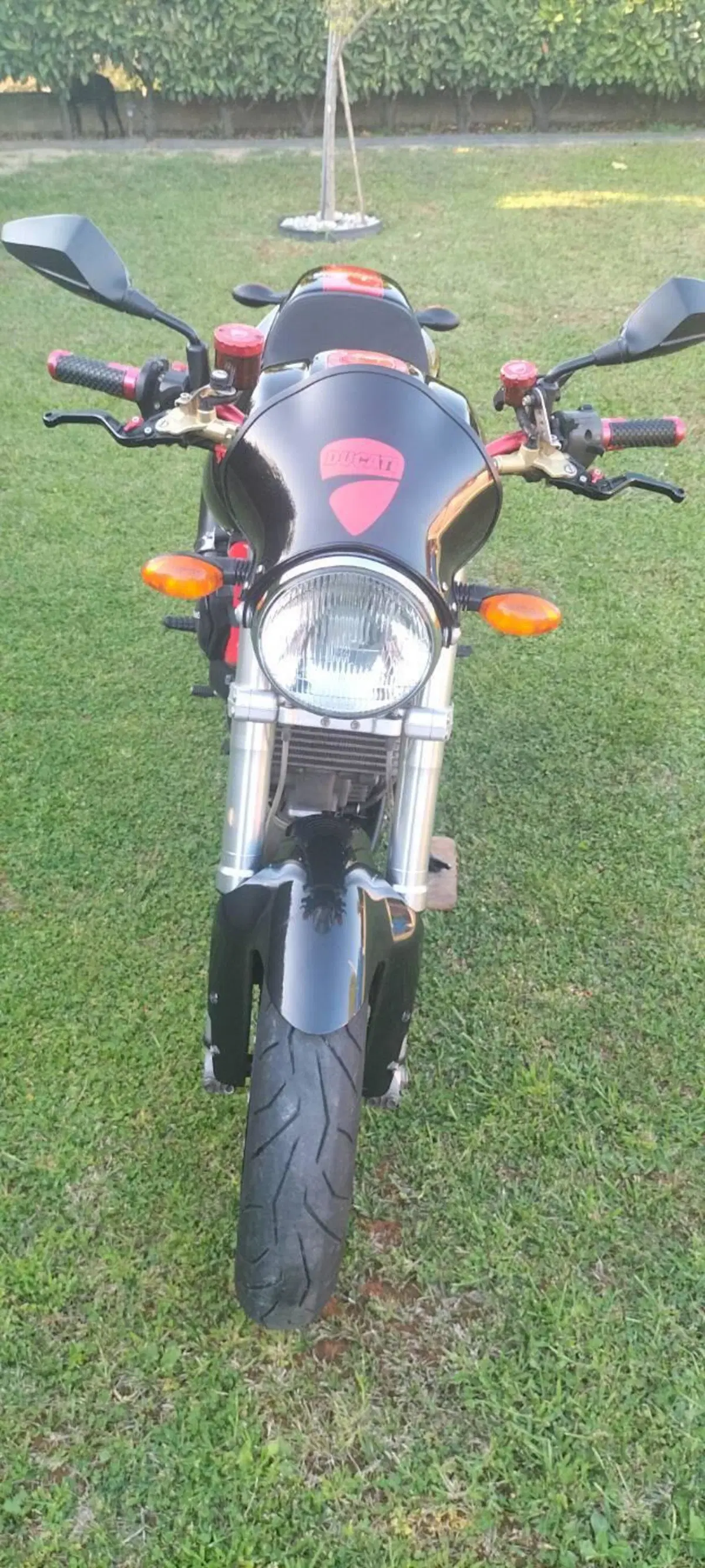 Ducati Monster 1000 S (2003 - 05) (14)