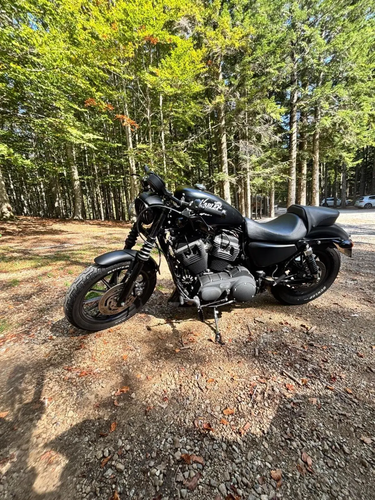 Harley-Davidson 883 Iron (2009 - 11) - XL 883N
