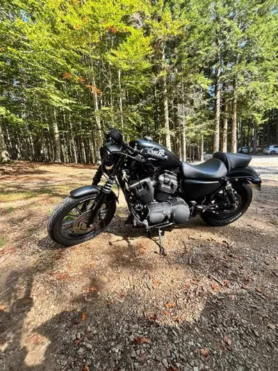 Harley-Davidson 883 Iron (2009 - 11) - XL 883N usata