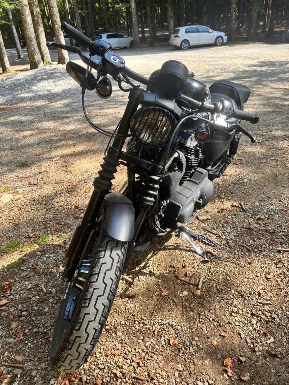 Harley-Davidson 883 Iron (2009 - 11) - XL 883N (2)