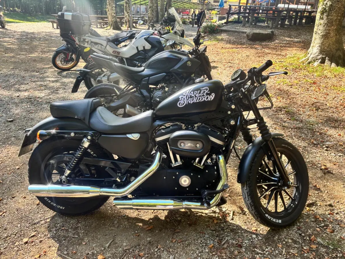 Harley-Davidson 883 Iron (2009 - 11) - XL 883N (3)
