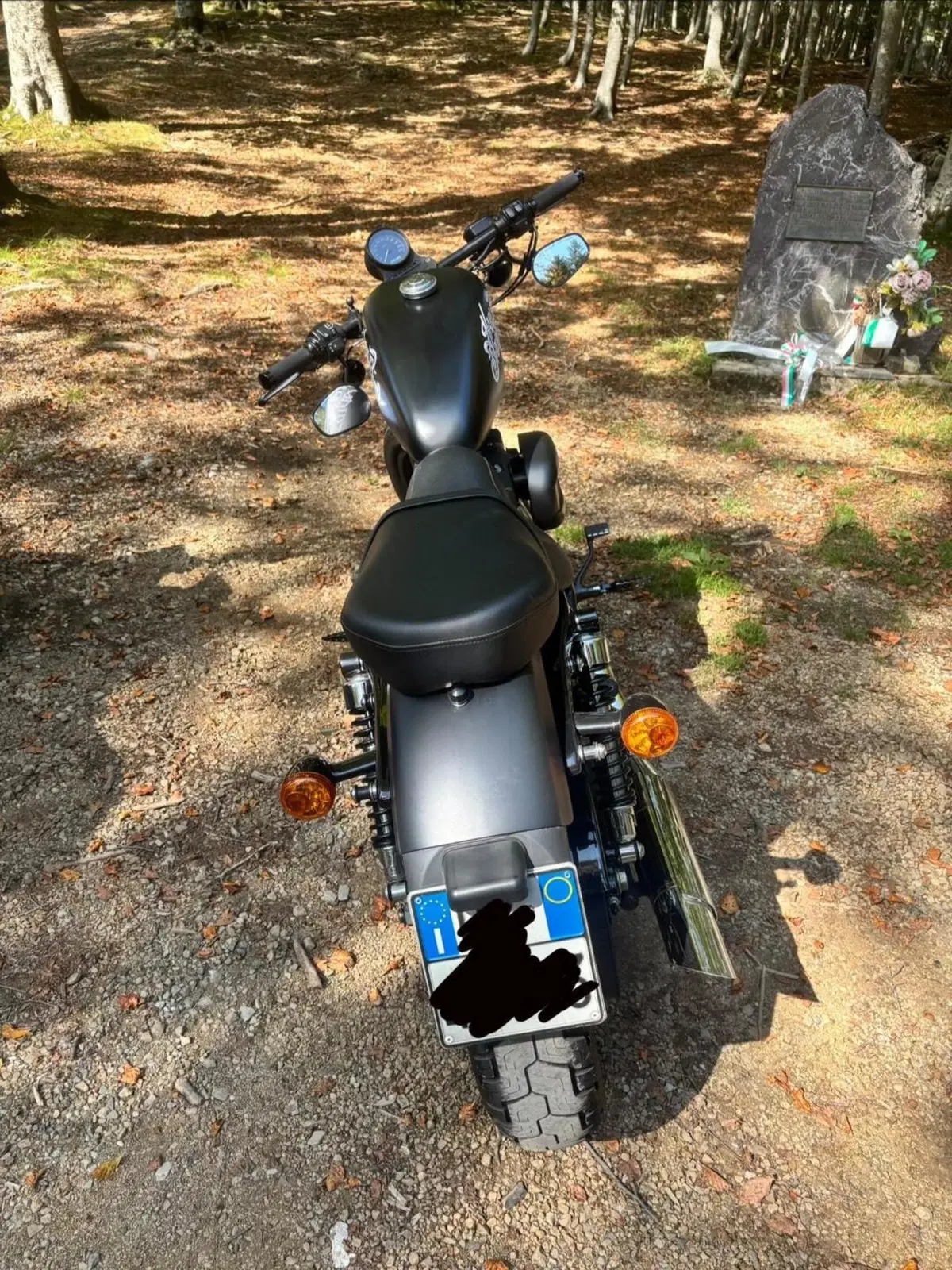 Harley-Davidson 883 Iron (2009 - 11) - XL 883N (4)