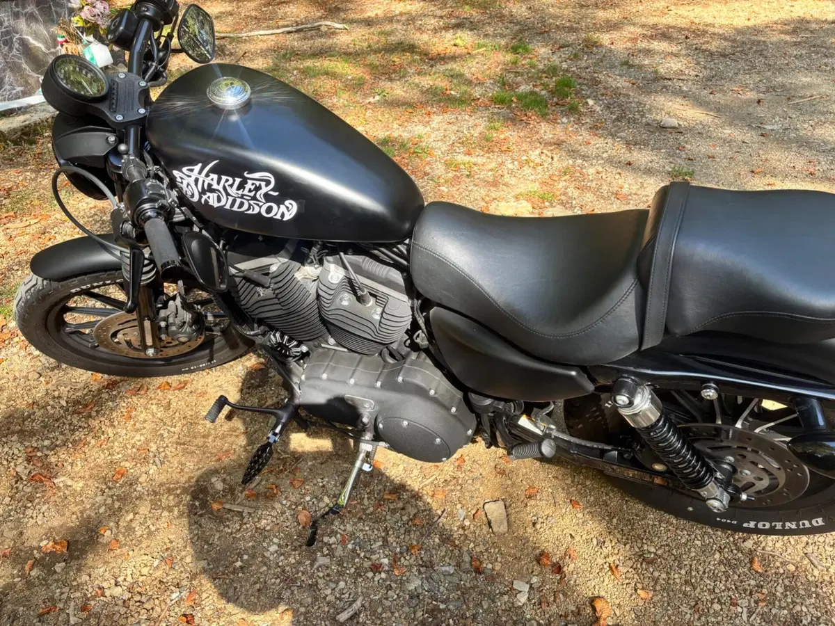 Harley-Davidson 883 Iron (2009 - 11) - XL 883N (5)