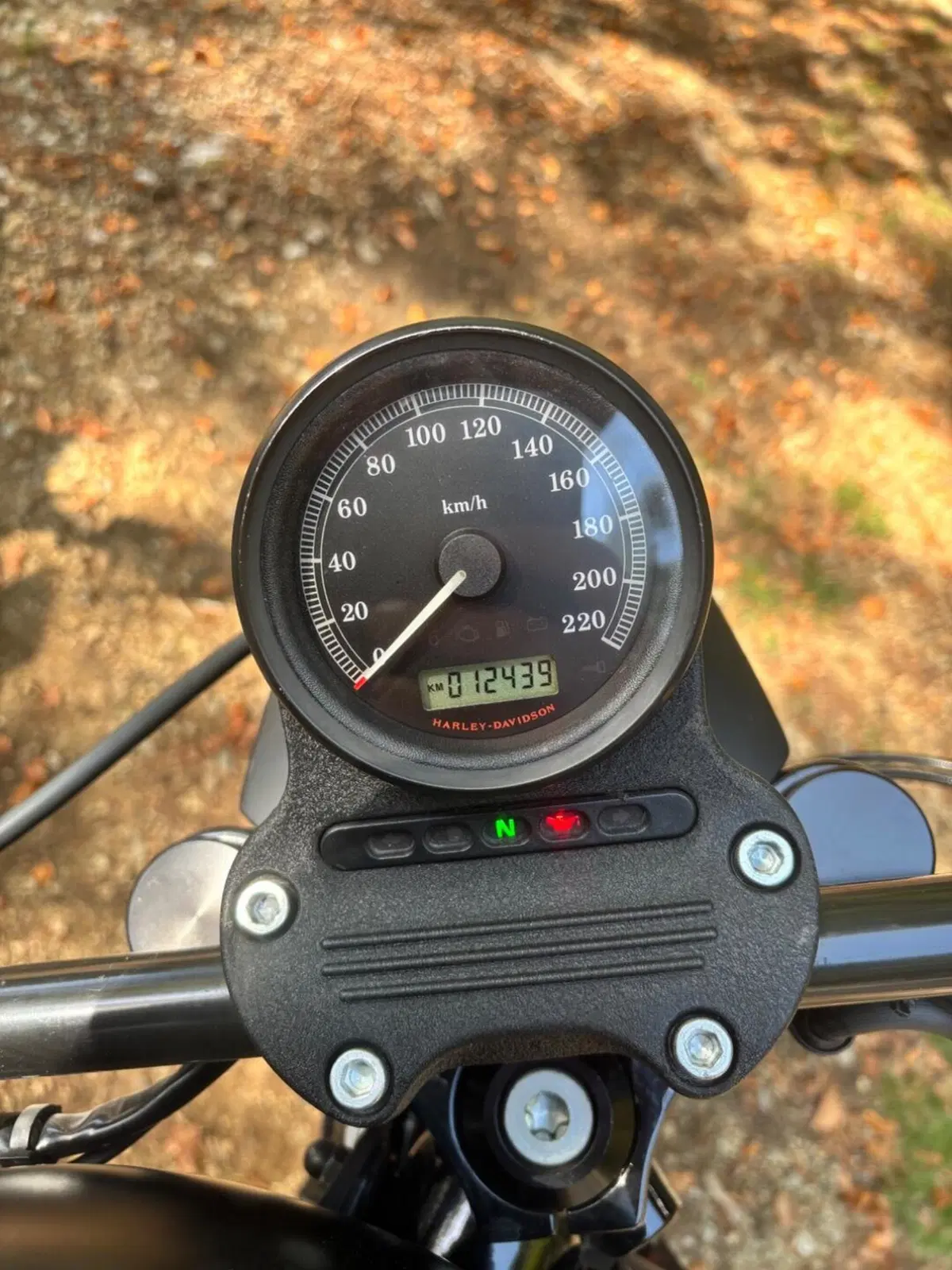 Harley-Davidson 883 Iron (2009 - 11) - XL 883N (6)