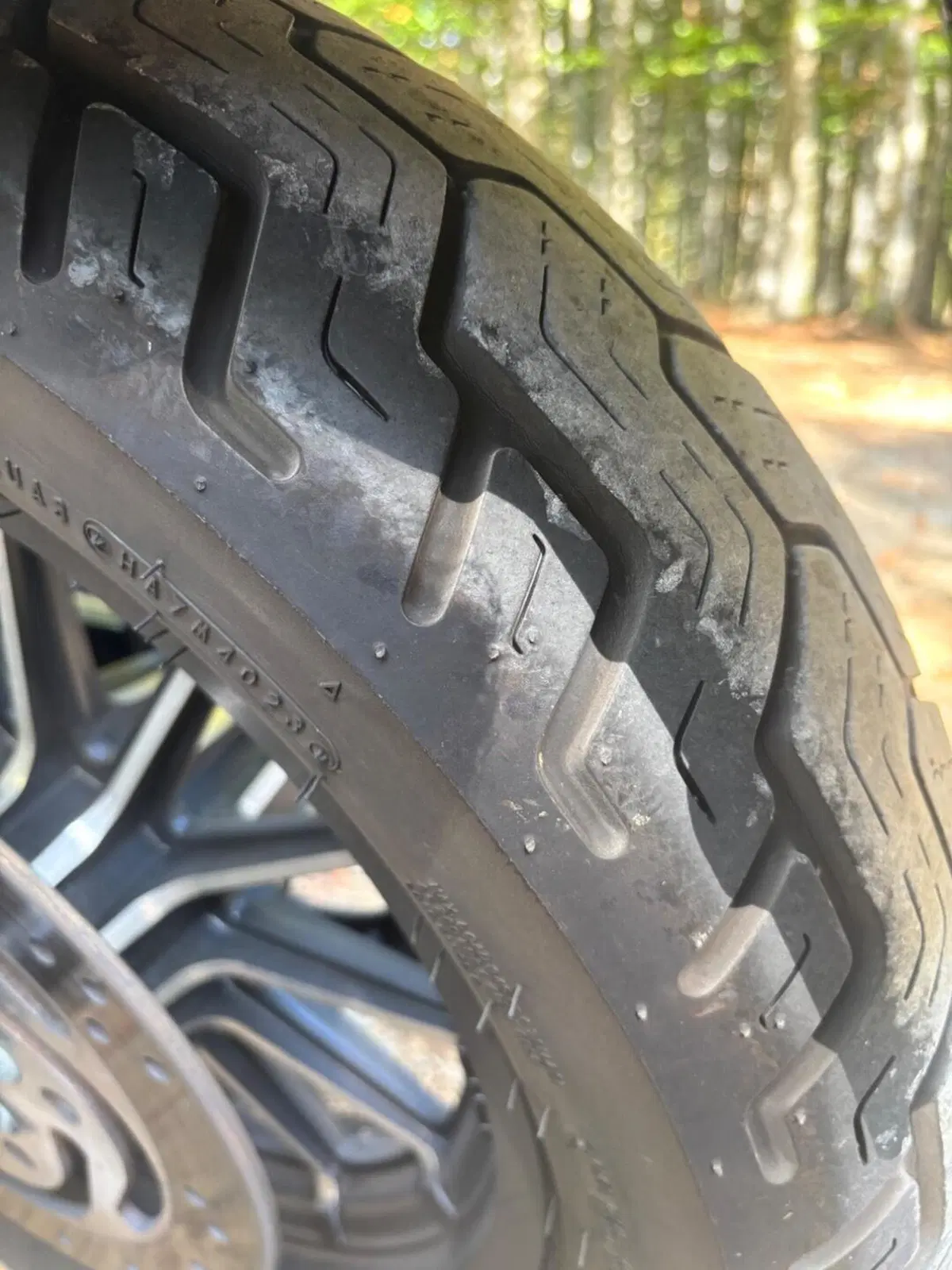 Harley-Davidson 883 Iron (2009 - 11) - XL 883N (7)