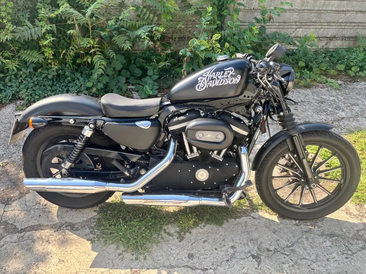 Harley-Davidson 883 Iron (2009 - 11) - XL 883N (8)