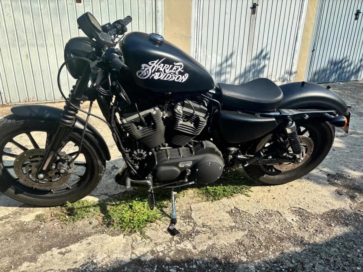 Harley-Davidson 883 Iron (2009 - 11) - XL 883N (9)