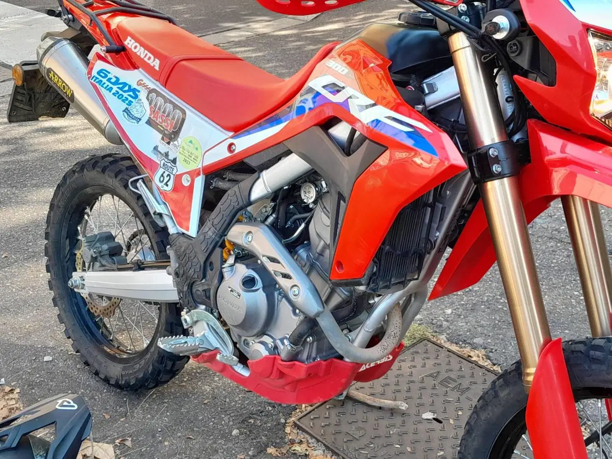 Honda CRF 300L (2021 - 24) (10)