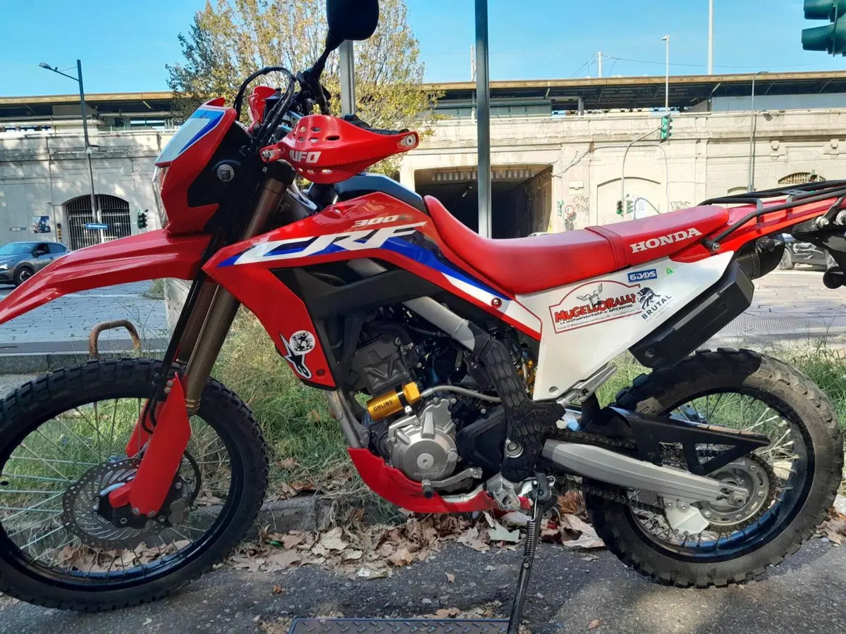 Honda CRF 300L (2021 - 24) (6)