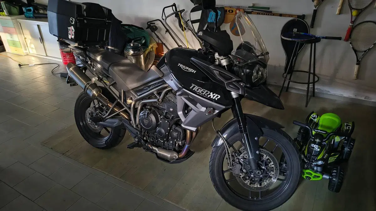 Triumph Tiger 800 XR (2015 - 17) (2)