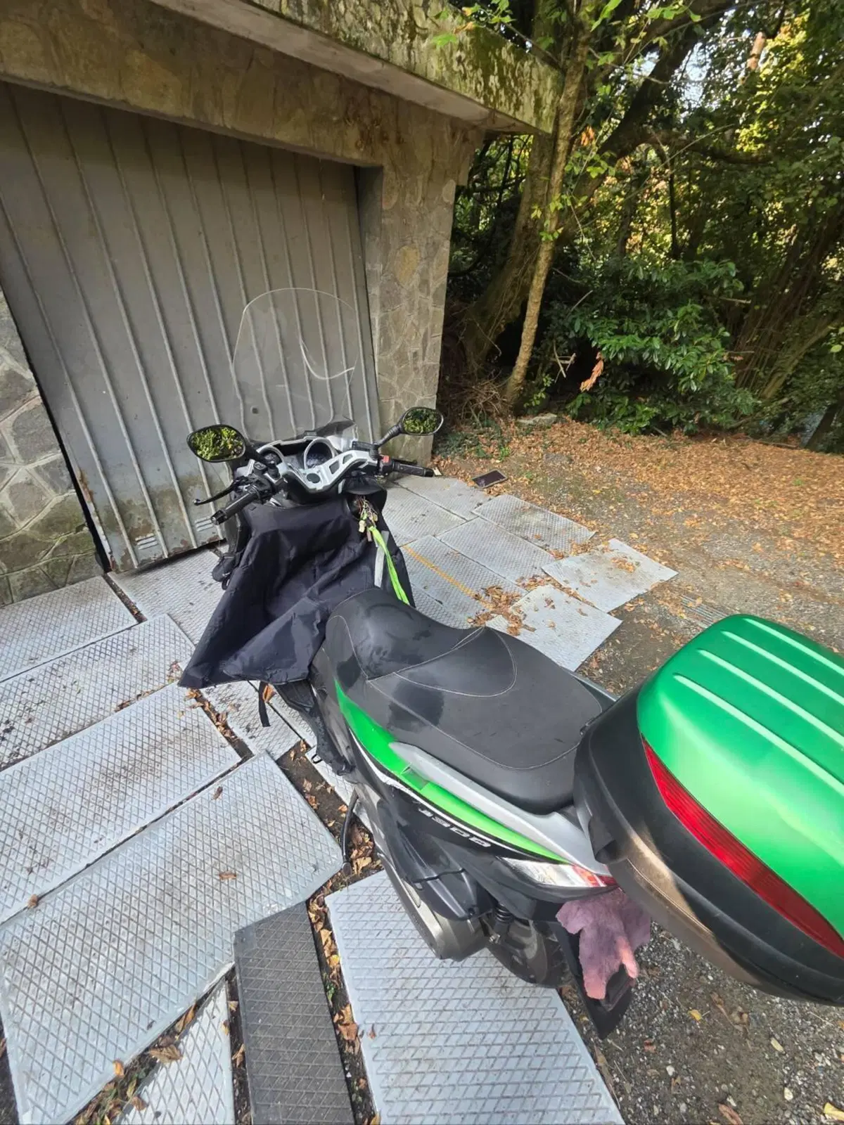 Kawasaki J 300 (2014) (2)
