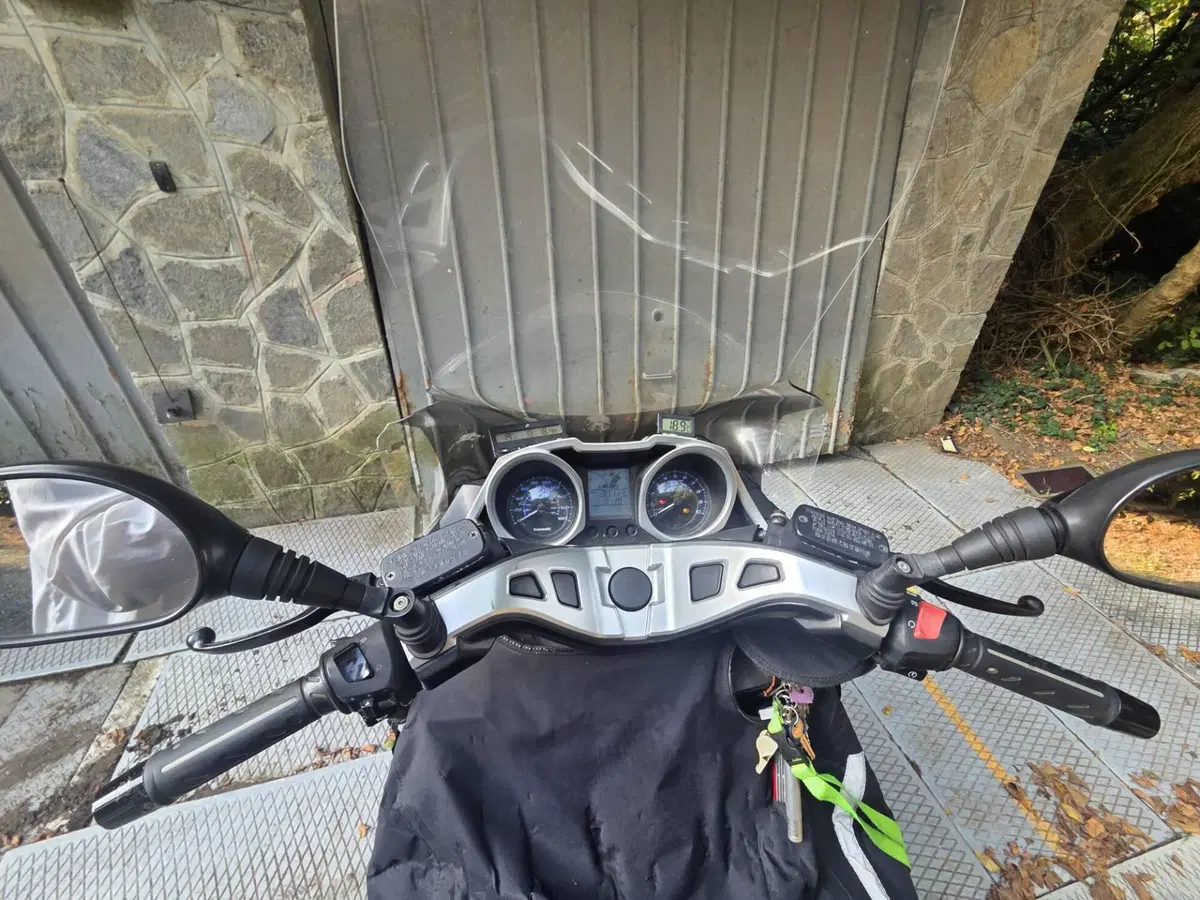 Kawasaki J 300 (2014) (3)
