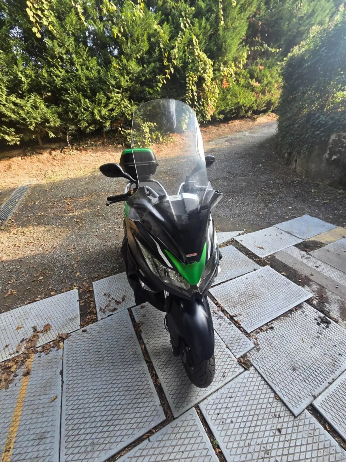 Kawasaki J 300 (2014) (6)