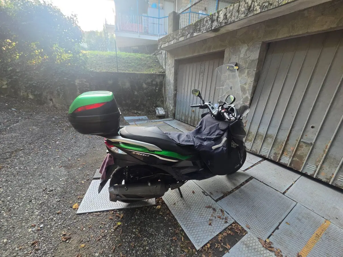 Kawasaki J 300 (2014) (7)