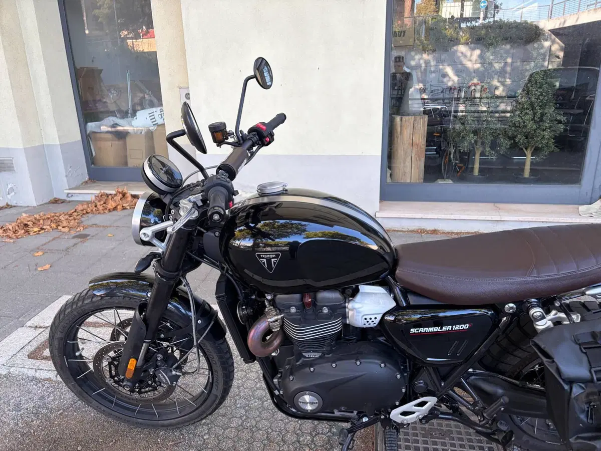 Triumph Scrambler 1200 X (2024 - 26) (5)