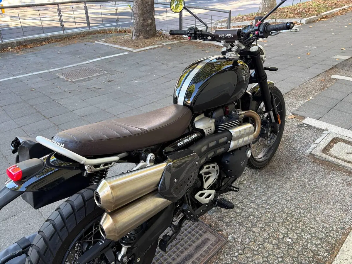 Triumph Scrambler 1200 X (2024 - 26) (7)
